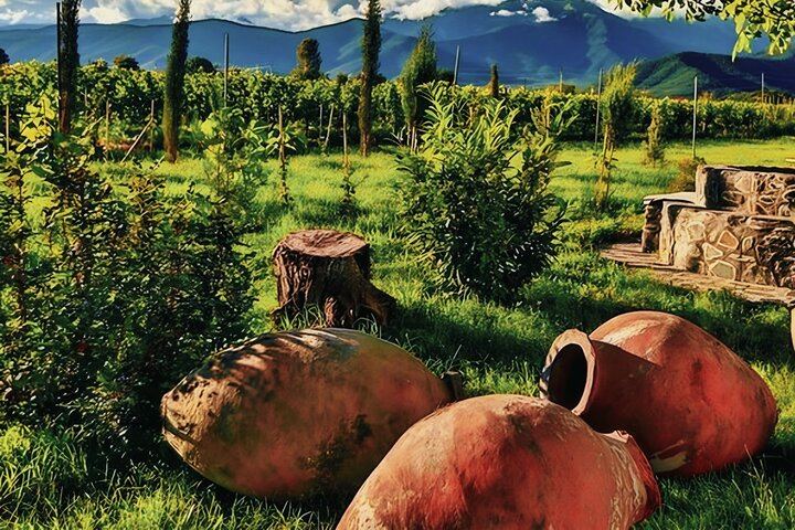 Private Hands-On Kakheti Day Tour: Bread Baking, Churchkhela Class and Sighnaghi Walls (3/6)