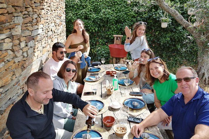 Private Douro Valley Port Wine Tour with Pinhao Tasting, Viewpoints and Tavern Lunch (12/12)