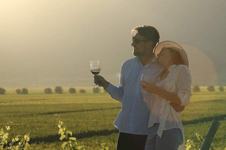 Private Luján de Cuyo Wine Day from Mendoza: Three Stops, Andes-View Lunch (1/3)
