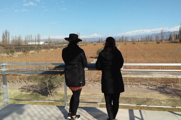 Private Luján de Cuyo Wine Day from Mendoza: Three Stops, Andes-View Lunch (2/3)