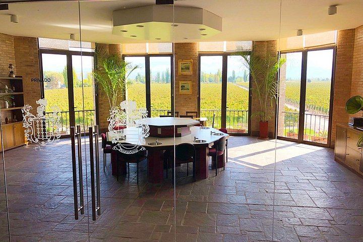 Private Luján de Cuyo Wine Day: Chandon, Kaiken and Bonfanti Lunch (2/6)