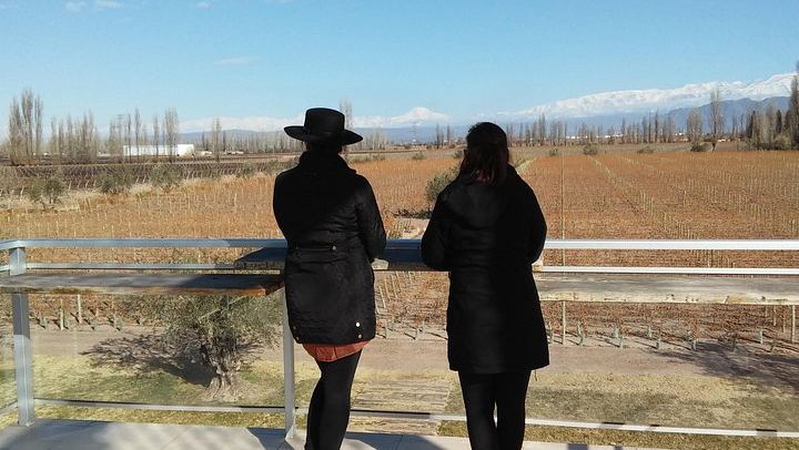 Private Luján de Cuyo Wine Day from Mendoza: Three Stops, Andes-View Lunch (2/3)