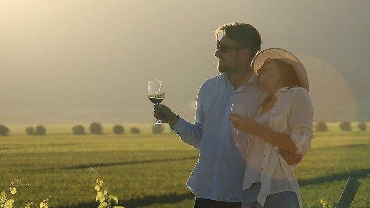 Private Luján de Cuyo Wine Day from Mendoza: Three Stops, Andes-View Lunch (1/3)