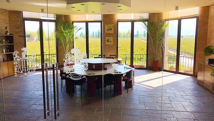 Private Luján de Cuyo Wine Day: Chandon, Kaiken and Bonfanti Lunch (2/6)