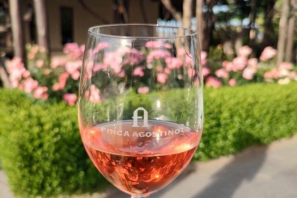 Private Maipú Wine Day from Mendoza with Bilingual Driver, Hotel Pickup and Lunch