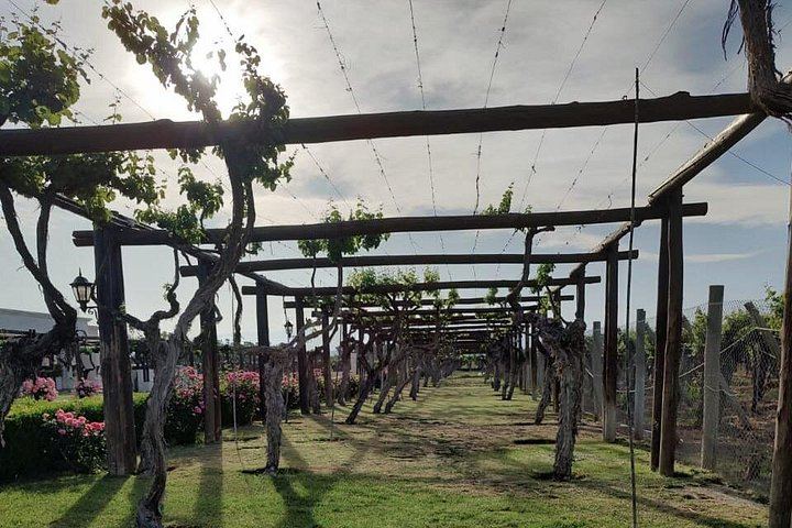 Private Maipú Wine Day from Mendoza with Bilingual Driver, Hotel Pickup and Lunch (1/6)