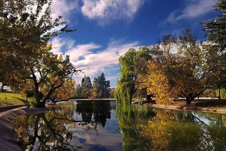 Private Maipú Wine Day from Mendoza with Bilingual Driver, Hotel Pickup and Lunch (4/6)