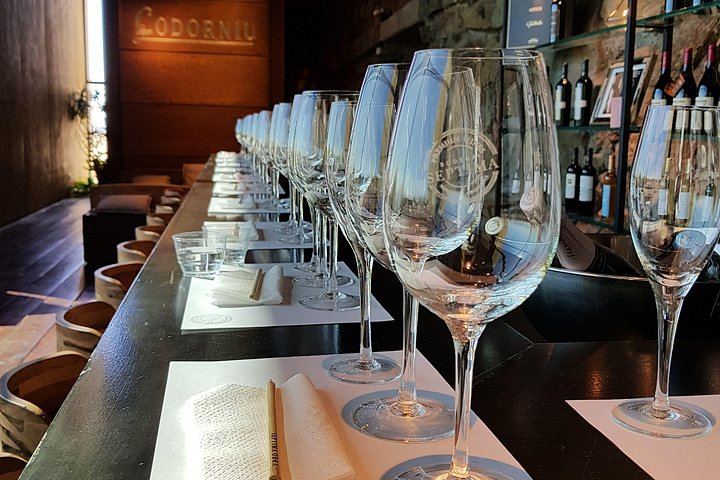 Private Maipú Wine Day from Mendoza with Bilingual Driver, Hotel Pickup and Lunch (5/6)