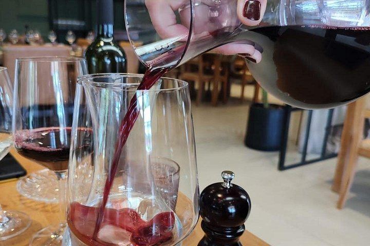 Private Maipú Wine Day from Mendoza with Bilingual Driver, Hotel Pickup and Lunch (6/6)
