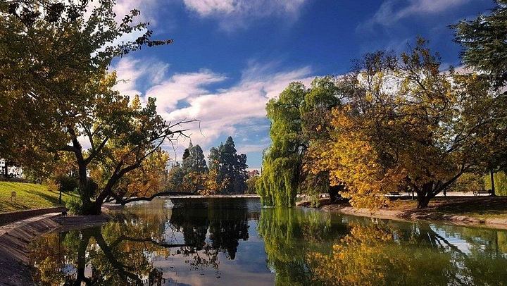 Private Maipú Wine Day from Mendoza with Bilingual Driver, Hotel Pickup and Lunch (4/6)