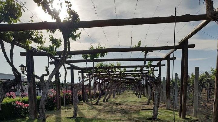 Private Maipú Wine Day from Mendoza with Bilingual Driver, Hotel Pickup and Lunch (1/6)