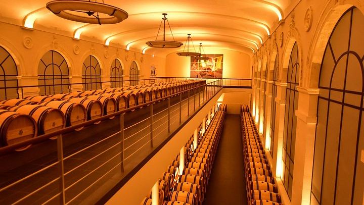 Private Saint-Émilion Tour: Underground Monuments, Monolithic Church, Grands Crus Tasting (2/12)