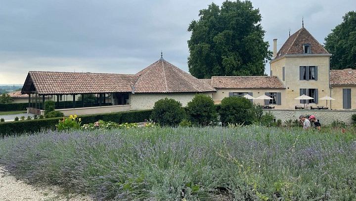 Private Saint-Émilion and Pomerol Day in an Air-Conditioned Car: 2 Châteaux, 3 Tastings (3/12)