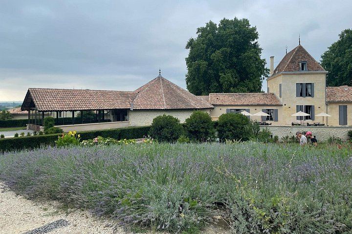 Private Saint-Émilion and Pomerol Day in an Air-Conditioned Car: 2 Châteaux, 3 Tastings (3/12)