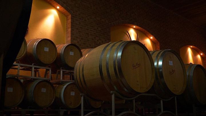 Private Cellar Tour and Langhe Wine Tasting with Wine Museum in Castiglione Falletto (3/6)