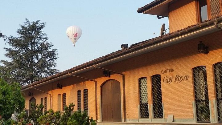 Private Cellar Tour and Langhe Wine Tasting with Wine Museum in Castiglione Falletto (1/6)