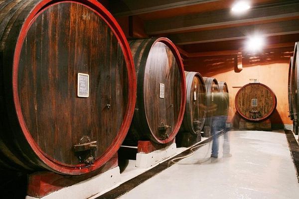 Private Cellar Tour and Langhe Wine Tasting with Wine Museum in Castiglione Falletto