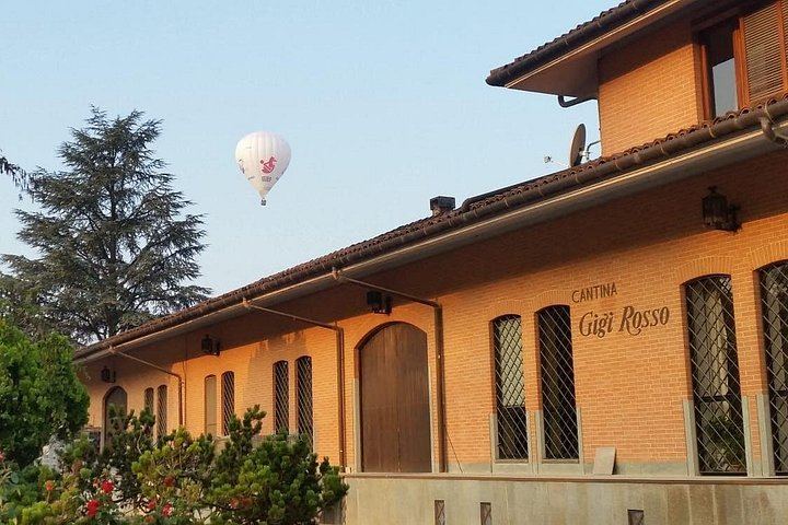 Private Cellar Tour and Langhe Wine Tasting with Wine Museum in Castiglione Falletto (1/6)