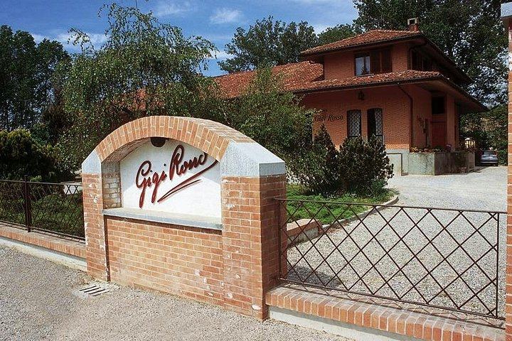 Private Cellar Tour and Langhe Wine Tasting with Wine Museum in Castiglione Falletto (2/6)