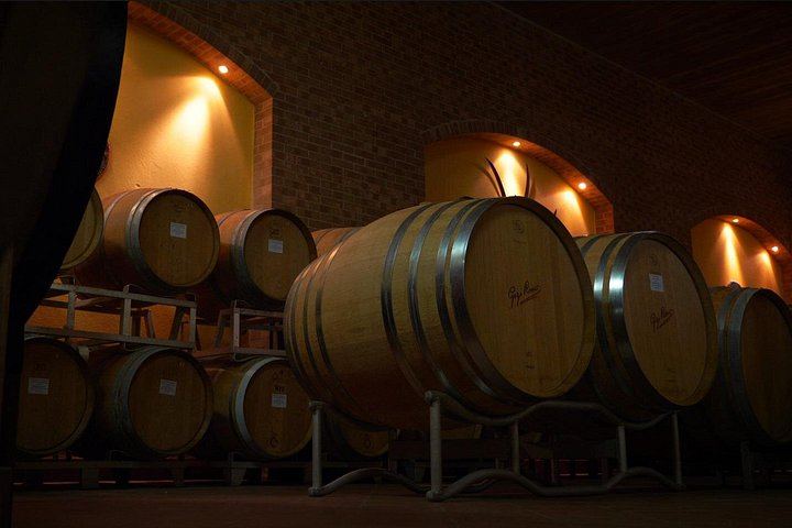 Private Cellar Tour and Langhe Wine Tasting with Wine Museum in Castiglione Falletto (3/6)