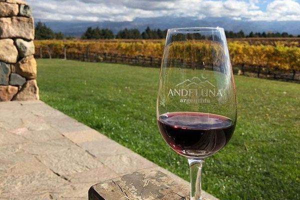 Private Uco Valley Day with Bilingual Driver: Tupungato Vineyards and Andes Lunch