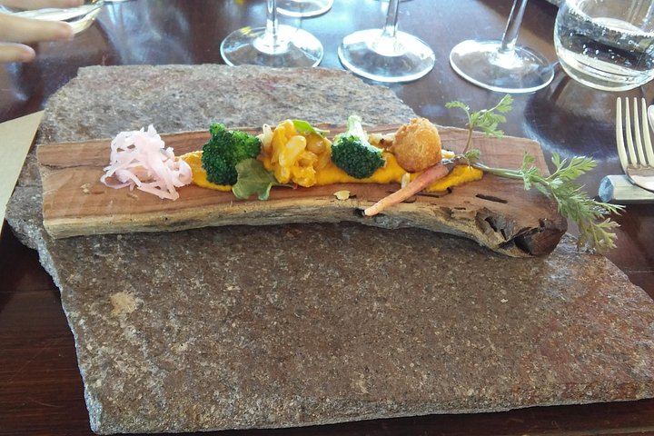 Private Uco Valley Day with Bilingual Driver: Tupungato Vineyards and Andes Lunch (2/5)