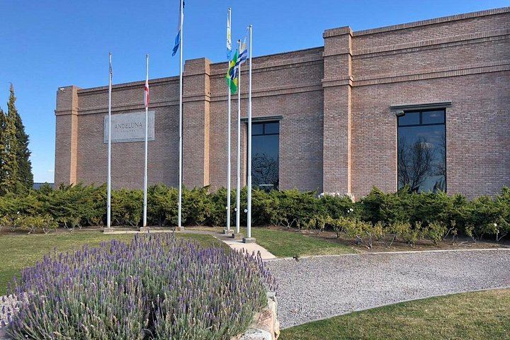 Private Uco Valley Day with Bilingual Driver: Tupungato Vineyards and Andes Lunch (5/5)