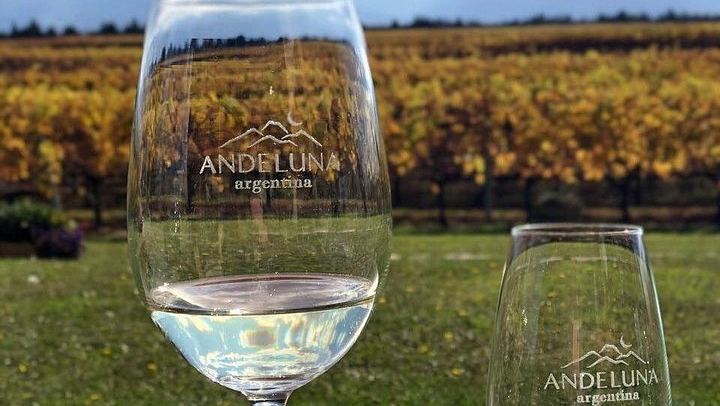 Private Uco Valley Day with Bilingual Driver: Tupungato Vineyards and Andes Lunch (1/5)