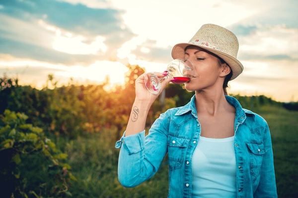 Private Full-Day Napa and Sonoma Wine Country Tour with Hotel Pickup