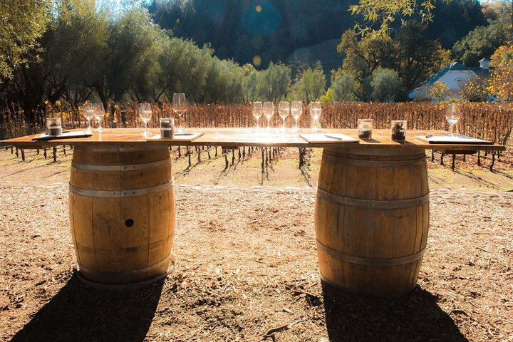 Private Full-Day Napa and Sonoma Wine Country Tour with Hotel Pickup (7/11)