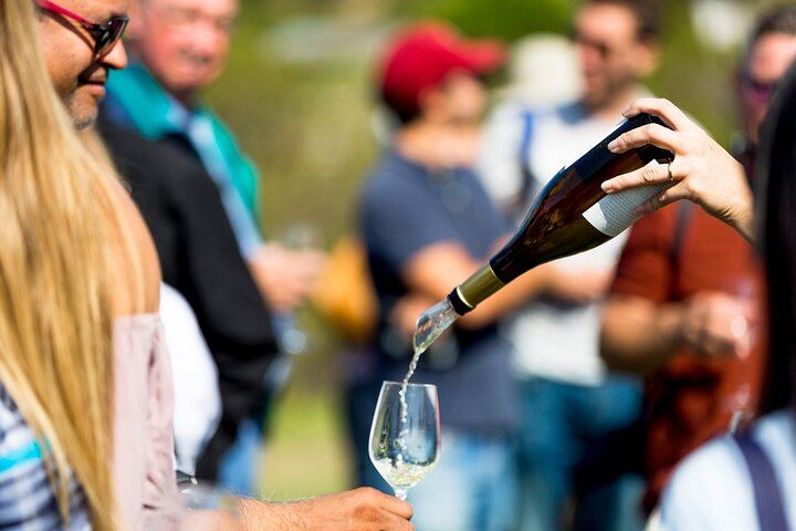 Private Full-Day Napa and Sonoma Wine Country Tour with Hotel Pickup (5/11)