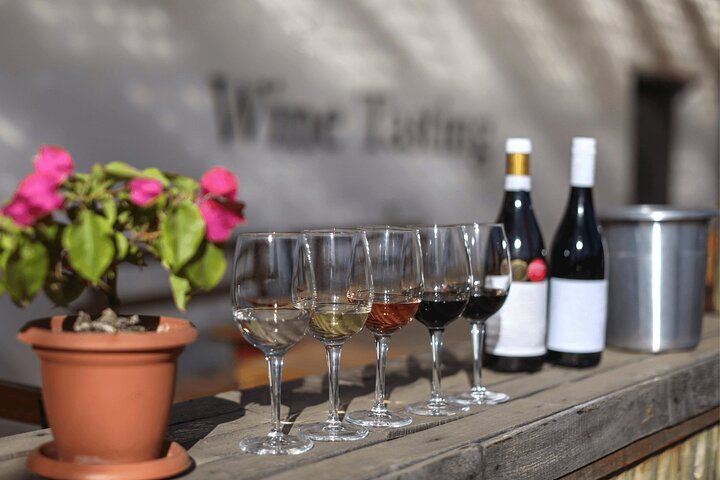 Private Full-Day Napa and Sonoma Wine Country Tour with Hotel Pickup (6/11)