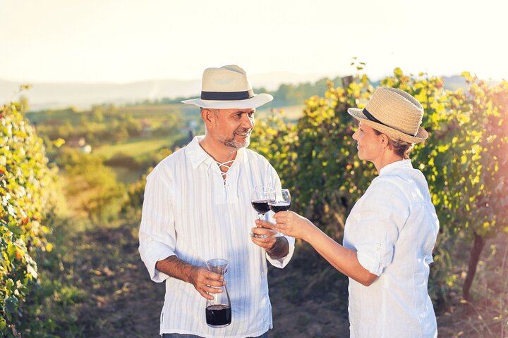 Private Full-Day Napa and Sonoma Wine Country Tour with Hotel Pickup (3/11)