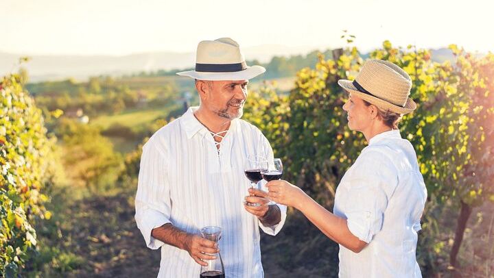 Private Full-Day Napa and Sonoma Wine Country Tour with Hotel Pickup (3/11)