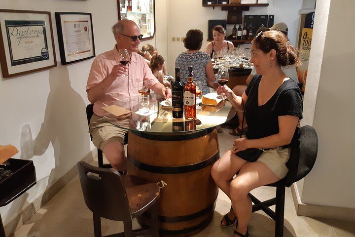 Private Three-Winery Day in Azeitão, Palmela and Setúbal with Lunch at Arrábida (3/12)