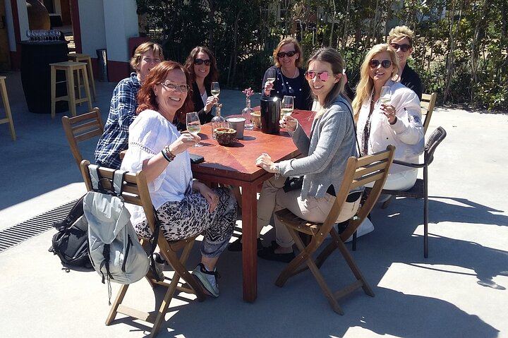 Private Three-Winery Day in Azeitão, Palmela and Setúbal with Lunch at Arrábida (10/12)
