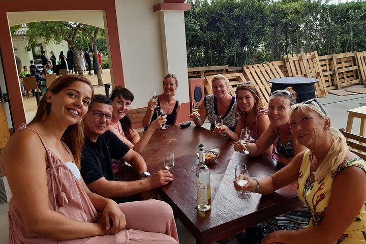 Private Three-Winery Day in Azeitão, Palmela and Setúbal with Lunch at Arrábida (7/12)