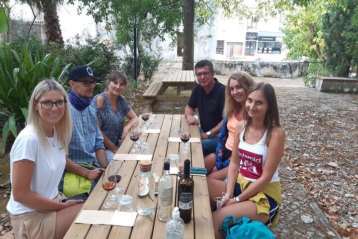 Private Three-Winery Day in Azeitão, Palmela and Setúbal with Lunch at Arrábida (5/12)