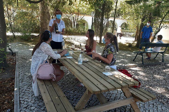 Private Three-Winery Day in Azeitão, Palmela and Setúbal with Lunch at Arrábida (6/12)