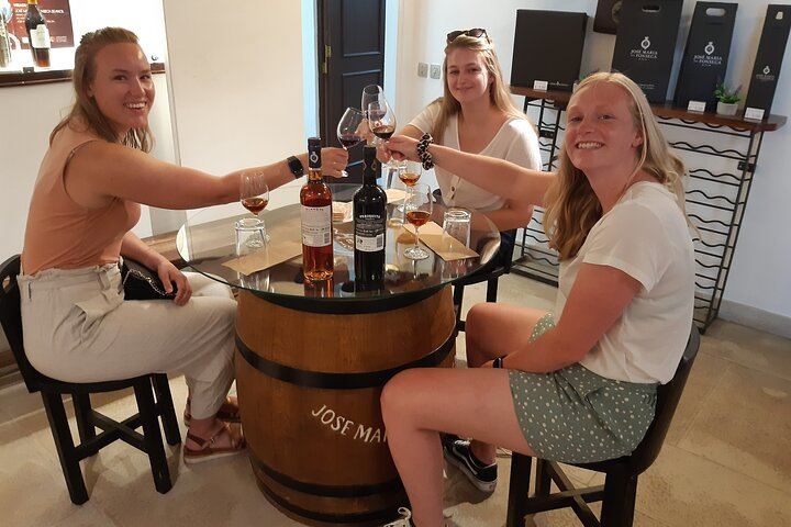 Private Three-Winery Day in Azeitão, Palmela and Setúbal with Lunch at Arrábida (2/12)