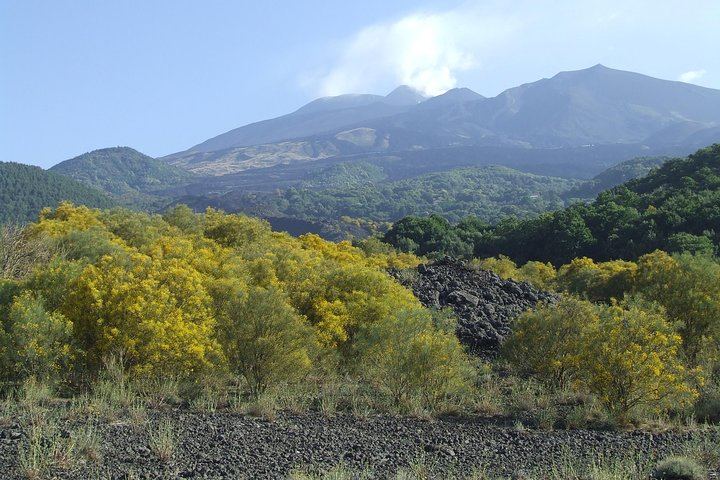 Private Etna Drive to 2,000 m from Messina Cruise Terminal with Optional Winery Tasting (6/9)