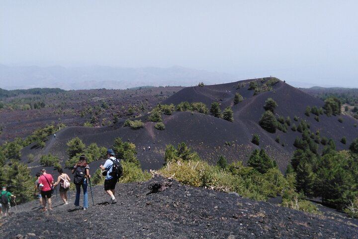 Private Etna Tour: 1669 Lava Flow, Buried Church and Etna DOC Wines with Cellar Lunch (1/12)