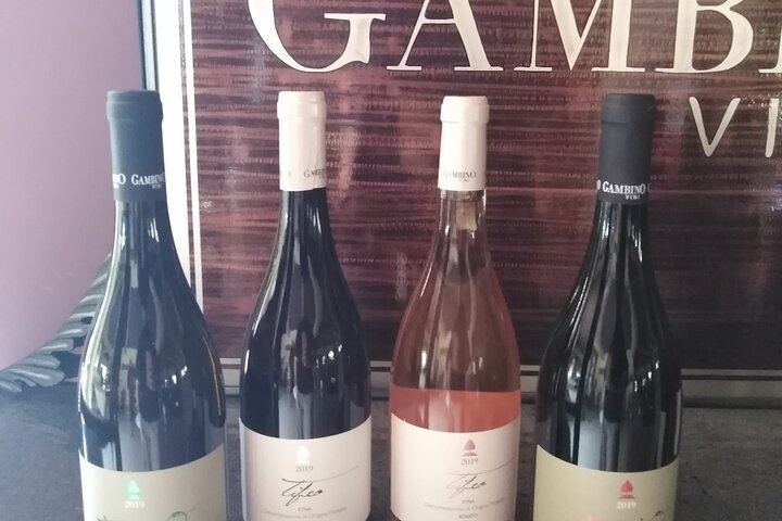 Private Etna Tour: 1669 Lava Flow, Buried Church and Etna DOC Wines with Cellar Lunch (12/12)