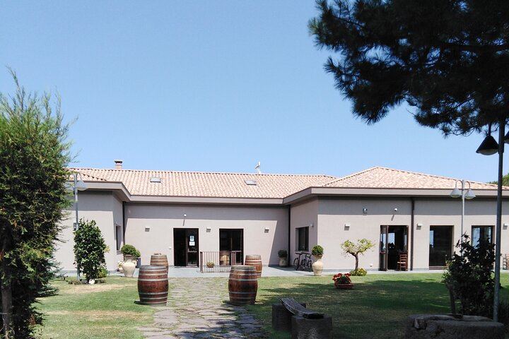 Private Etna Tour: 1669 Lava Flow, Buried Church and Etna DOC Wines with Cellar Lunch (8/12)