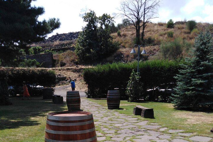 Private Etna Tour: 1669 Lava Flow, Buried Church and Etna DOC Wines with Cellar Lunch (11/12)