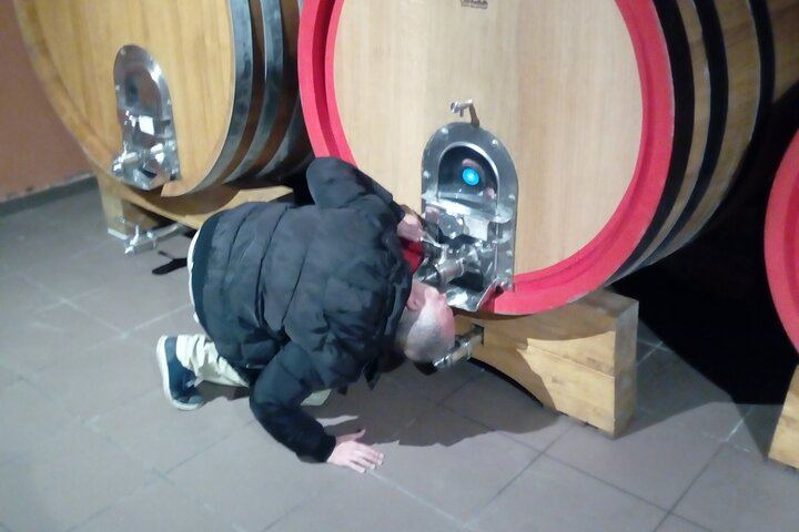Private Etna Tour: 1669 Lava Flow, Buried Church and Etna DOC Wines with Cellar Lunch (4/12)