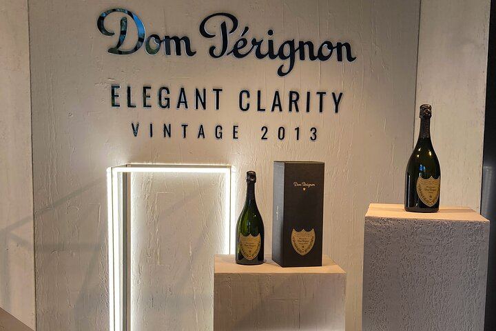 Private Door-to-Door Champagne Tour from Paris: Family Cellar Tasting and Hautvillers (12/12)