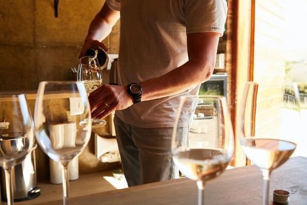 Private Top 5 Wineries Day from Cape Town: Waterford, Spier, Delaire Graff, Boschendal