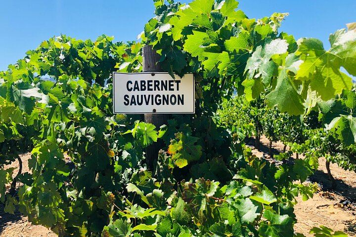 Private Top 5 Wineries Day from Cape Town: Waterford, Spier, Delaire Graff, Boschendal (1/12)