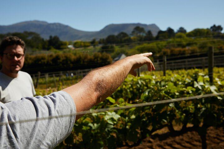 Private Top 5 Wineries Day from Cape Town: Waterford, Spier, Delaire Graff, Boschendal (6/12)